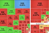 VN-Index mất mốc 1.800 điểm trong phiên đầu tiên sau khi được nâng hạng