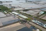 Kiến nghị chuyển hồ sơ sang công an vụ cho thuê đất công ở Cà Mau