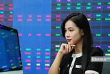 VN-Index sau tuần “rơi tự do”: Cơ hội hồi phục đang trở lại?