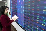 VN-Index kiểm định vùng hỗ trợ, nhà đầu tư nên kiên nhẫn