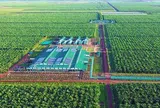 Việt Nam có một tỷ phú sang Lào, Campuchia trồng chuối quy mô lớn: Ký hợp đồng 10 năm với 'ông lớn' nông nghiệp Mỹ, phạt 1 USD/thùng nếu không đủ 90% cam kết