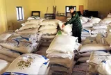 Lật tẩy thủ đoạn đưa đường lậu qua biên giới Lao Bảo