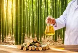 Phát minh mới của Mỹ làm rung chuyển ngành năng lượng: biến tre thành xăng dầu, giá chưa tới 19.000 đồng/lít