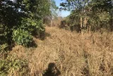 Bình Thuận: Bị giả mạo chữ ký, một cổ đông có nguy cơ mất hàng tỉ đồng