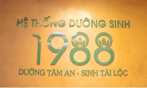 Hệ thống dưỡng sinh 1988: Nơi thân tâm tìm về nhịp điệu cân bằng