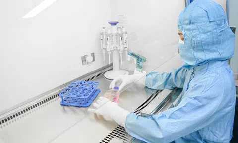 Vinmec làm chủ kỹ thuật khó bậc nhất, mở lại hy vọng cho bệnh nhân ung thư máu kháng trị