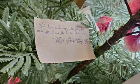 Triển lãm “Một Thuở Vàng Son” - Lan tỏa giá trị tri thức, khơi dậy tinh thần hiếu học