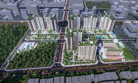 Năm Bảy Bảy (NBB) đặt chỉ tiêu tổng doanh thu đạt 380 tỷ đồng trong năm 2026