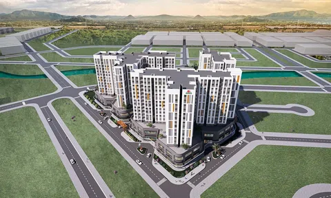 Đẩy mạnh kinh doanh tại dự án NOXH, Chương Dương Corporation kỳ vọng đăt mục tiêu tăng lợi nhuận tăng 273% trong năm 2026