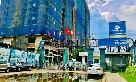 Tranh chấp giữa các thành viên Công ty Naviland
