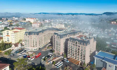 Khám phá mùa vàng độc bản tại Imperial Dalat cùng ưu đãi nghỉ dưỡng đặc quyền