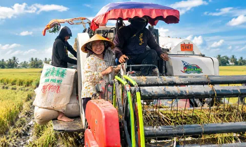 Kỹ sư Võ Thị Ngọc: Gieo những hạt giống mới từ tình yêu đồng ruộng