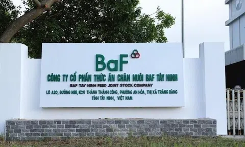 Lợi nhuận giảm mạnh, hai nhân sự cấp cao của Nông nghiệp BAF Việt Nam (BaF) xin từ nhiệm