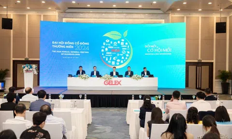 ĐHĐCĐ 2024: Tập đoàn GELEX (GEX) đặt mục tiêu doanh thu thuần hợp nhất năm 2024 đạt hơn 32.000 tỷ đồng
