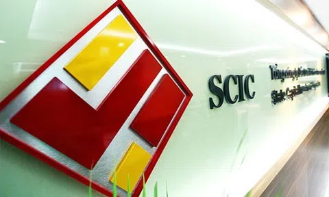 Tái cơ cấu danh mục đầu tư, SCIC bán đấu giá hơn 6,7 triệu cổ phần Savina