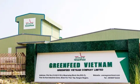 Greenfeed Việt Nam ‘lội ngược dòng’ báo lãi hơn 437 tỷ đồng