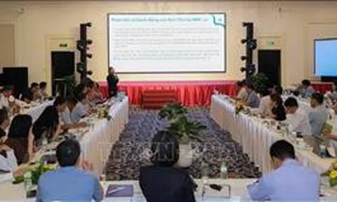Ủy ban sông Mê Kông Việt Nam tham vấn về dự án Kênh Funan - Techo