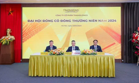 ĐHĐCĐ 2024 Thaiholdings: Tập trung phát triển thế mạnh đầu tư tài chính và bất động sản