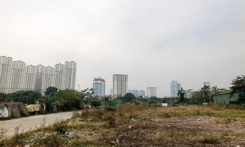 Hà Nội: Công an đề nghị dừng giao dịch 77 lô đất tại quận Hà Đông