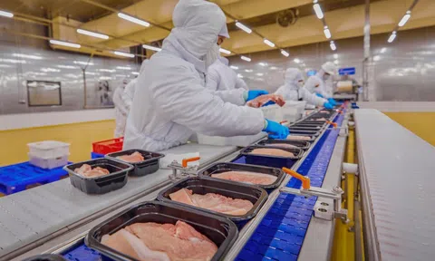 Việt Nam trong Top 10 quốc gia tiêu thụ thịt heo lớn nhất thế giới