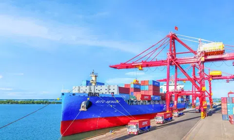 Cảng Chu Lai đi đầu trong hoạt động logistics tại miền Trung