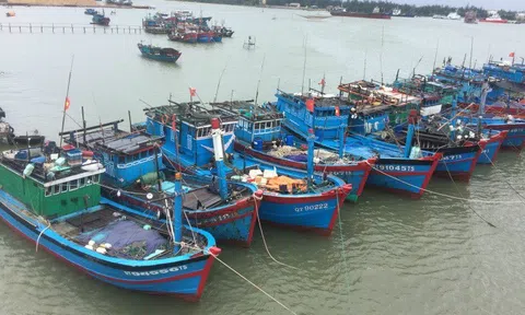 Quảng Trị: Tập trung giải quyết dứt điểm tàu cá '3 không'
