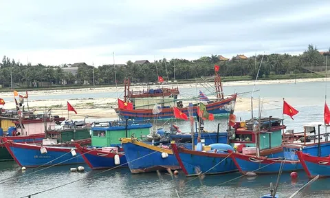 Chống khai thác IUU: Quảng Bình cần sớm giải quyết các tàu cá "3 không"