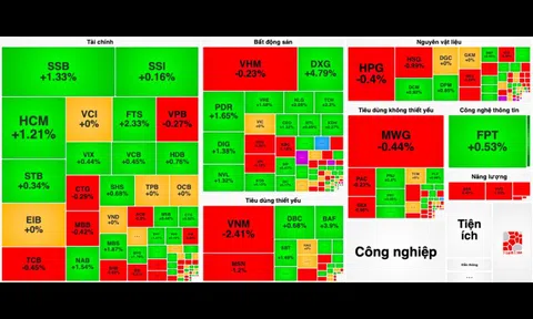 Nhóm chứng khoán ngược chiều thị trường dậy sóng