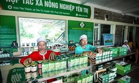 Chính sách hỗ trợ phát triển tổ hợp tác, hợp tác xã, liên hiệp hợp tác xã