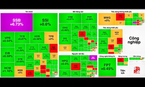 Cổ phiếu "vua" trở lại đường đua, SSB tăng kịch trần