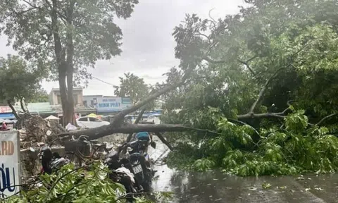 Quảng Bình: Học sinh nghỉ học từ chiều 19/9, khẩn trương ứng phó bão số 4