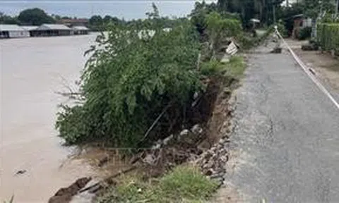 An Giang liên tục xảy ra sạt lở bờ sông