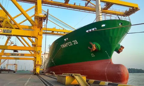 Vinafco (VFC) lãi nửa đầu năm 'sụt' 90,5%, chưa bồi thường vụ làm rơi container xuống biển dù được kiểm toán nhấn mạnh