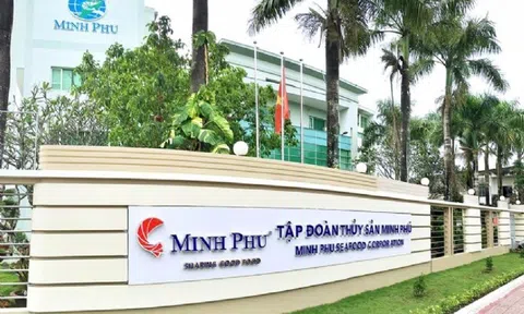 MPC: Gia đình ‘vua tôm’ Minh Phú nhận lương cao nhất Ban Tổng Giám đốc