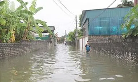 Sạt lở đất do mưa lớn diễn biến phức tạp ở nhiều địa phương miền núi