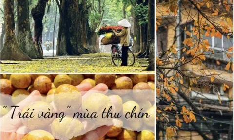 Vẻ đẹp Thu Hà Nội: Dấu ấn với du khách thập phương