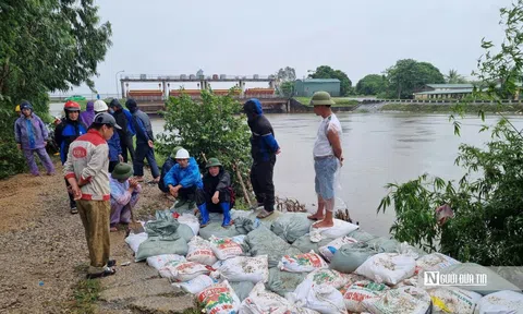 Thành phố Sầm Sơn kịp thời khắc phục các đoạn đê bao xung yếu