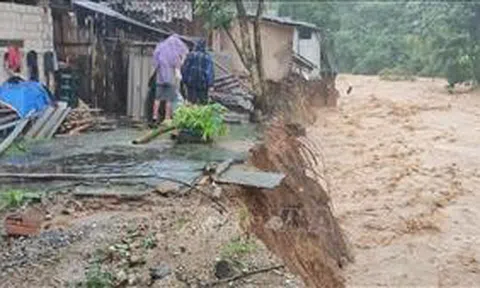 Thanh Hóa: Kiểm tra, rà soát các điểm xung yếu về đê điều