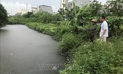 Thực hiện nghiêm việc tạm dừng hoạt động làng nghề bánh đa Lộ Cương (Hải Dương)