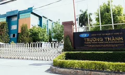 Chậm công bố thông tin tài chính bán niên 2024, Gỗ Trường Thành (TTF) bị nhắc nhở