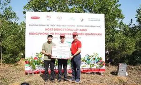 Rừng phòng hộ Phú Ninh có thêm 10.000 cây lim xanh