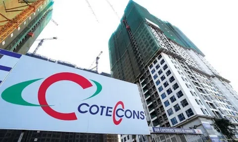 Coteccons (CTD) đặt mục tiêu lợi nhuận 430 tỷ đồng năm tài chính 2025, tăng gấp đôi thù lao cho lãnh đạo