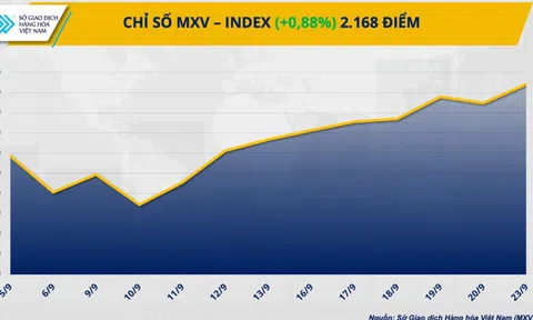 Giá cà phê và nông sản quay đầu tăng mạnh