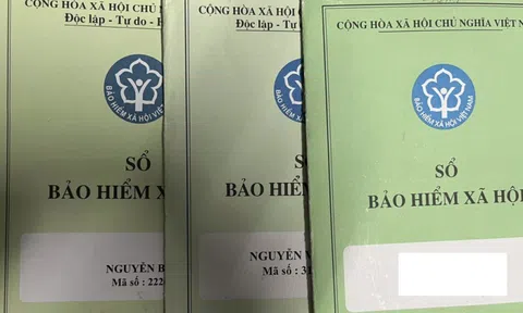 Tp.HCM: Gần 17.000 doanh nghiệp nợ bảo hiểm xã hội, có nơi chậm đóng hơn 10 năm