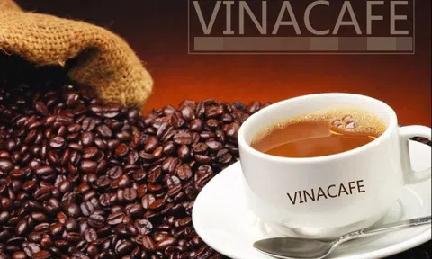 Biến động chi phí đầu vào, Vinacafé Biên Hòa (VCF) báo lãi sau thuế giảm 10,1%, đạt 100,5 tỷ đồng