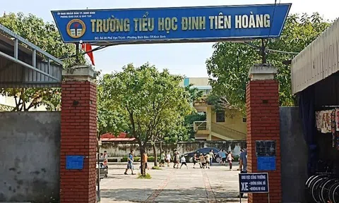 Kỷ luật cô giáo xúc phạm học sinh tiểu học