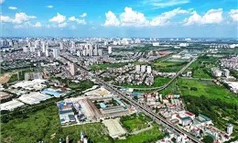 Đấu giá 27 thửa đất tại Hà Đông (Hà Nội): Giá trúng cao nhất đến 260 triệu đồng/m2