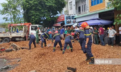 Vụ lật xe dăm gỗ khiến 3 người tử vong tại Bình Định: Chủ tịch tỉnh chỉ đạo xử lý nghiêm