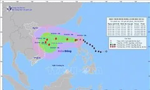 Thủ tướng Chính phủ yêu cầu chủ động ứng phó bão TRAMI