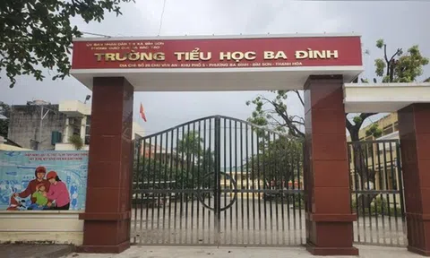 Đình chỉ công tác cô giáo "tác động vật lý" khiến học sinh lớp 1 thâm tím lưng